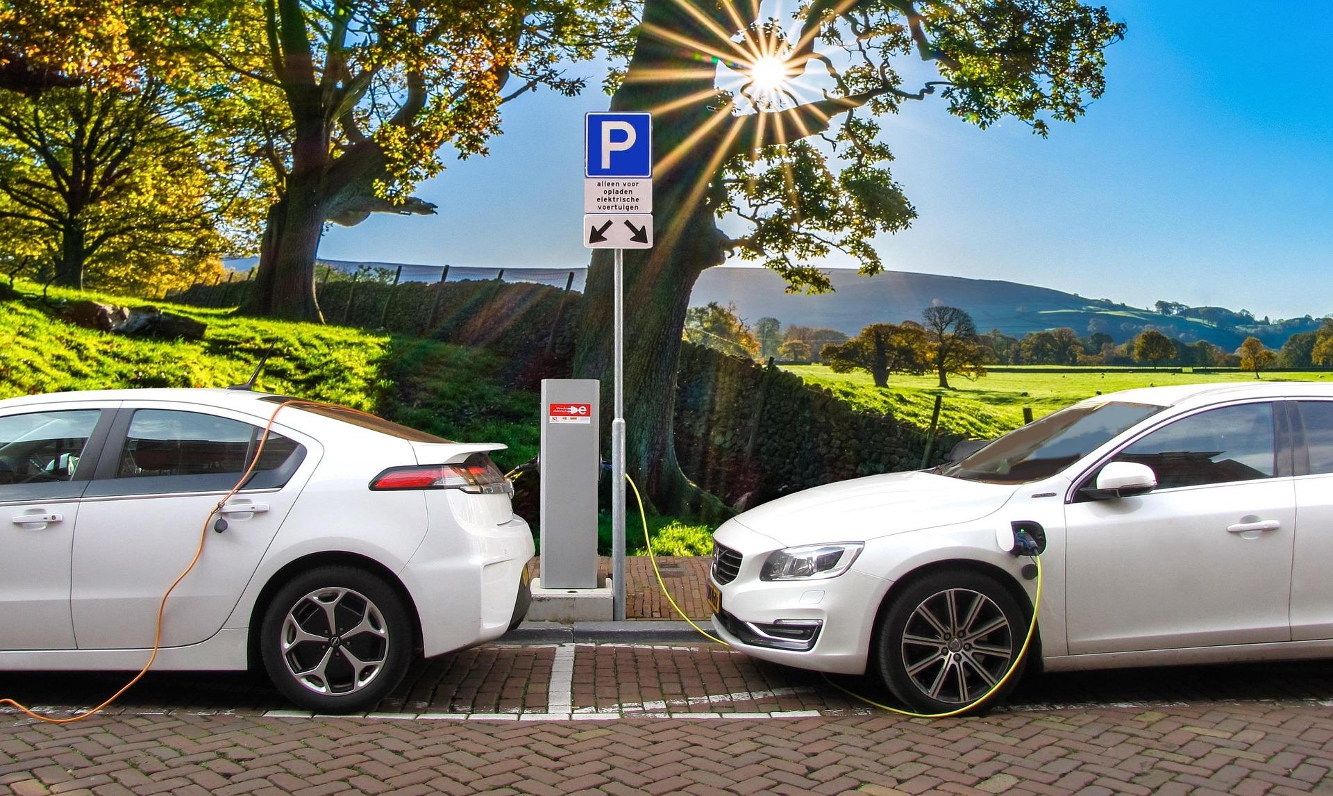 Indian Carmakers Push to Delay EV Import Tariff Cuts Until 2029