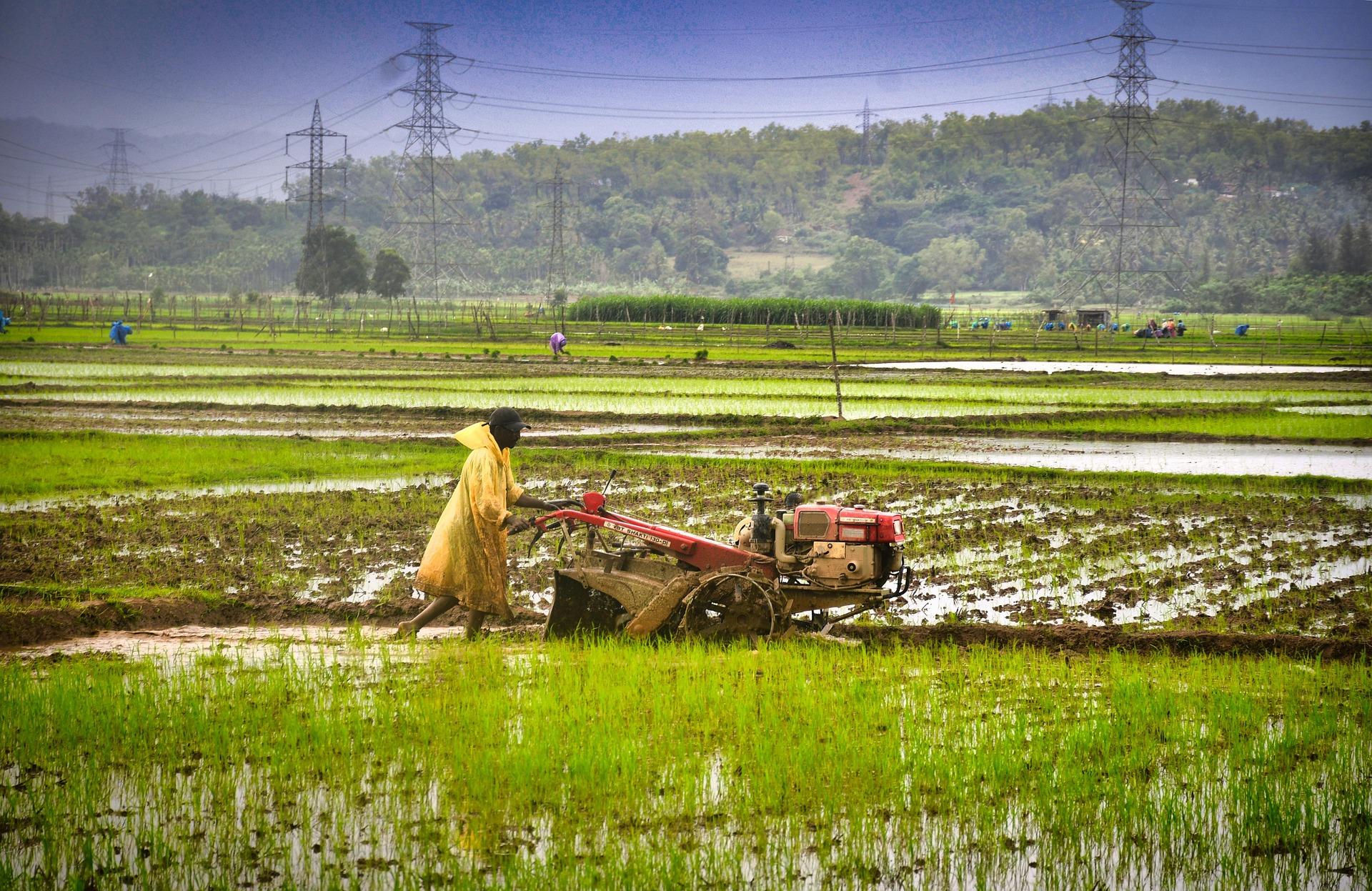 Monsoon Has Arrived Early: These Sectors See Positive and Negative Impact