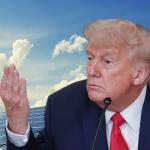 US Tariff Petition Hits Indian Solar Sector: Why Shares of Waaree, Premier Energies, Sterling & Wilson Fell