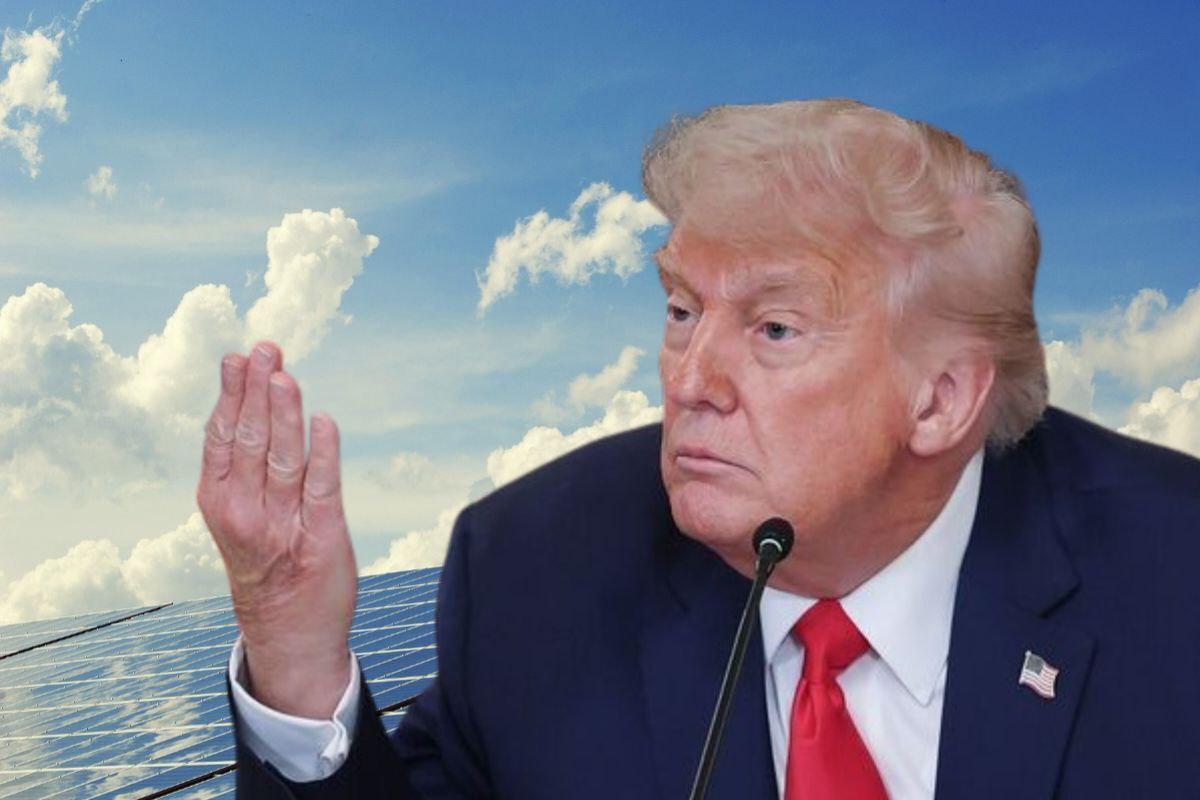 US Tariff Petition Hits Indian Solar Sector: Why Shares of Waaree, Premier Energies, Sterling & Wilson Fell