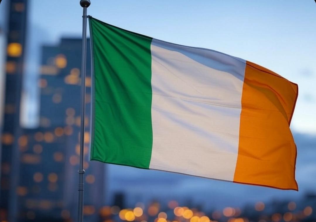 From the Octagon to the Óras: Conor McGregor Enters the Race for Ireland’s Presidency!