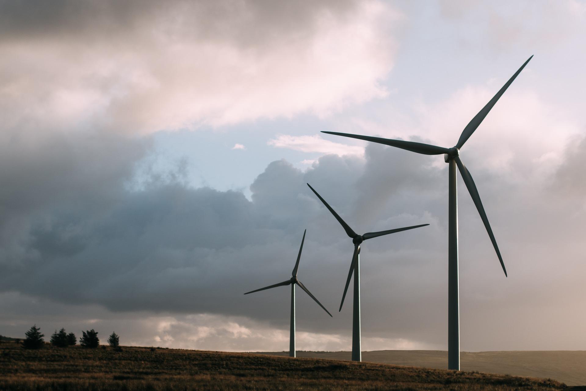 Suzlon Energy Ltd: March 2025 Shareholding Pattern Reveals Strong Retail Confidence