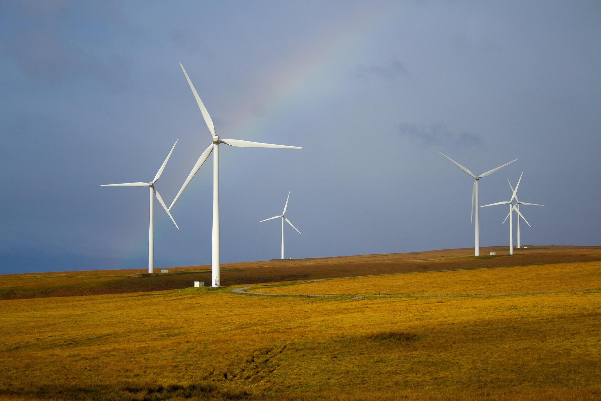 Suzlon Energy: Strong Long-Term Story Despite Short-Term Volatility – What Should Investors Do?